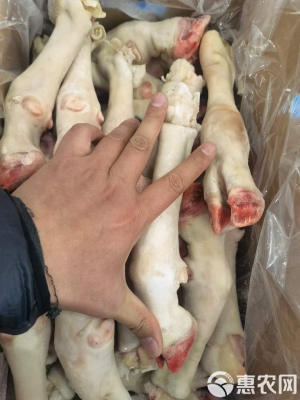 赤峰羊蹄凍貨批發(fā)電話號(hào)碼-第1張圖片