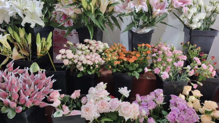 赤峰大型花店電話號碼多少號-第1張圖片