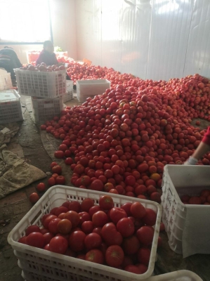 赤峰硬貨研究所地址電話(huà)號(hào)碼-第1張圖片