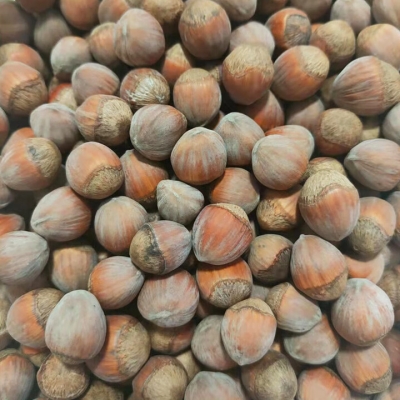 赤峰大榛子批發(fā)電話地址查詢-第1張圖片