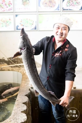 赤峰柴雞孵化場電話地址查詢-第1張圖片