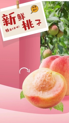 赤峰果趣鮮果店電話地址查詢-第1張圖片