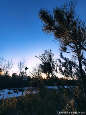 赤峰老虎山景區(qū)電話號碼是多少-第1張圖片