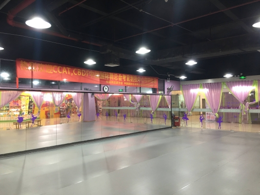 赤峰拉丁舞培訓哪個好?-第1張圖片