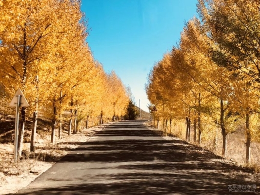 李家營子到赤峰客車電話號碼-第1張圖片