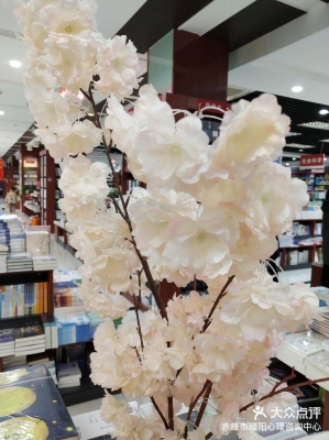 赤峰假花市場地址電話號碼-第1張圖片