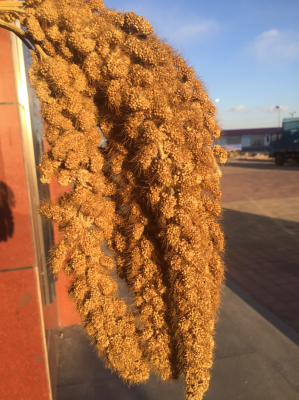 赤峰橙色體驗(yàn)館電話多少號-第1張圖片