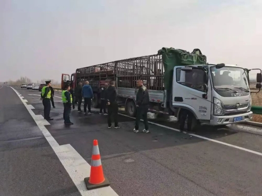 赤峰批發(fā)豬凍貨市場(chǎng)電話號(hào)碼-第1張圖片