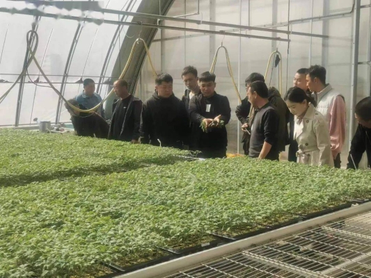 赤峰收育肥牛的地方電話(huà)號(hào)碼-第1張圖片