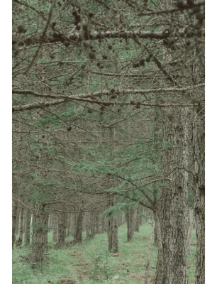 內(nèi)蒙赤峰機車隊電話號碼查詢-第1張圖片