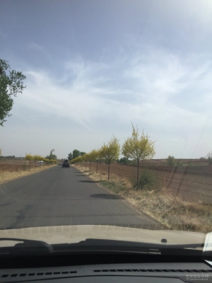 赤峰阿郎婚禮車(chē)隊(duì)電話(huà)號(hào)碼-第1張圖片