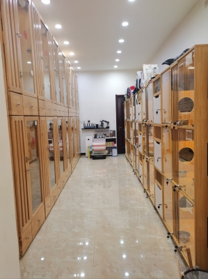 赤峰訓(xùn)犬工作室電話號(hào)碼-第1張圖片