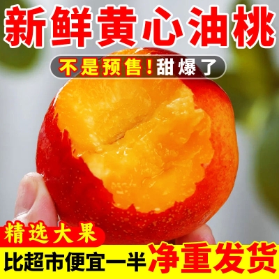 赤峰采摘園油桃電話號(hào)碼查詢-第1張圖片