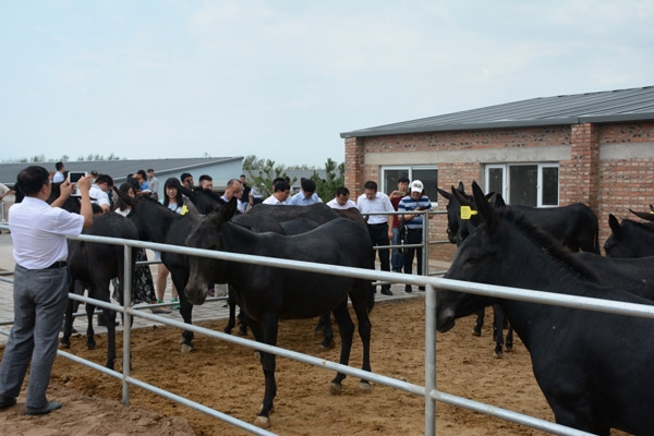 赤峰市敖漢旗正骨店電話號碼-第1張圖片