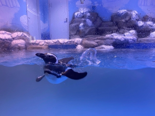 赤峰摩爾城專賣店電話號碼-第1張圖片