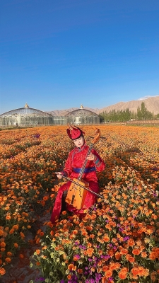 赤峰馬頭琴培訓(xùn)學(xué)校-第1張圖片