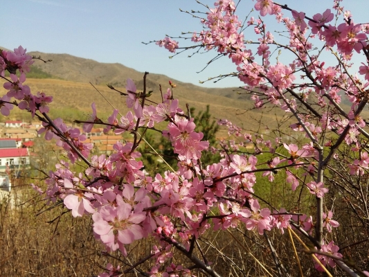 赤峰喀喇沁武術(shù)場館電話號碼-第1張圖片