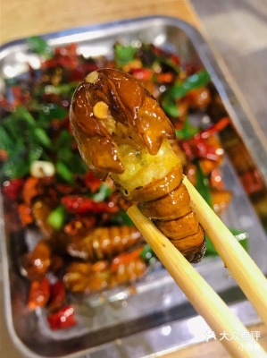 內(nèi)蒙古赤峰賣蠶蛹電話號碼-第1張圖片