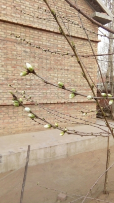 赤峰到汐子鎮(zhèn)客車電話號碼-第1張圖片