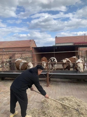 赤峰市獸醫(yī)局電話號碼-第1張圖片