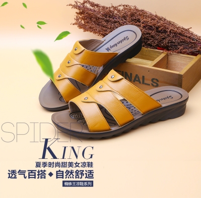 赤峰蜘蛛王專賣店電話號碼-第1張圖片