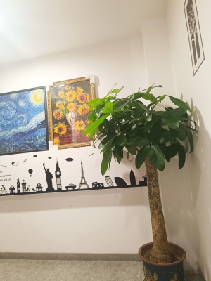 赤峰福源盲人按摩地址電話號碼-第1張圖片