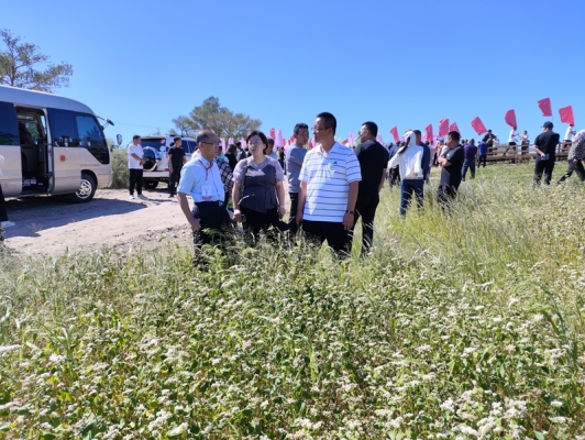 赤峰振興市場燴菜地址電話號碼-第1張圖片