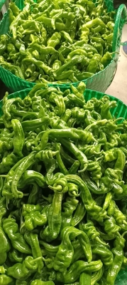 赤峰收購(gòu)線椒廠家電話號(hào)碼-第1張圖片