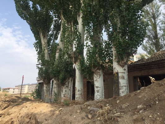 赤峰東盛溫泉電話號(hào)碼多少-第1張圖片