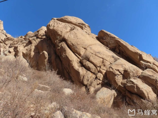 赤峰寧城農(nóng)牧廠電話號碼查詢-第1張圖片