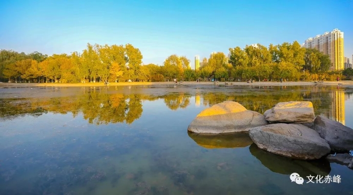 赤峰小李子專賣店電話號碼-第1張圖片