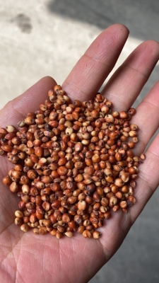 赤峰和美酒水批發(fā)電話(huà)號(hào)碼-第1張圖片