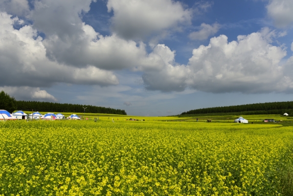 內(nèi)蒙赤峰垂釣園電話號碼查詢-第1張圖片
