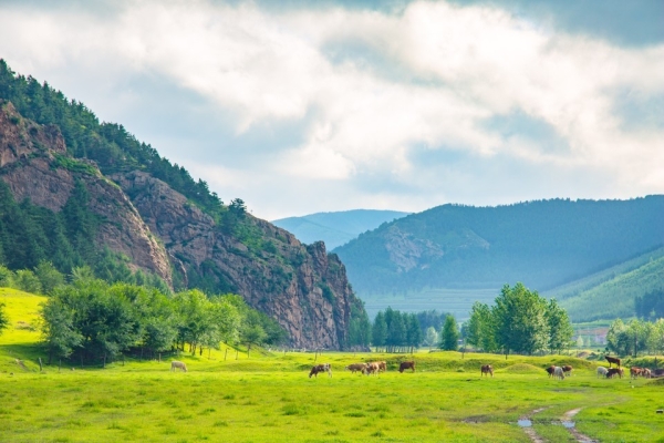 赤峰美林小木屋電話號(hào)碼查詢-第1張圖片