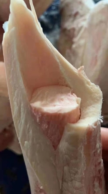 赤峰批發(fā)牛骨頭電話號碼查詢-第1張圖片