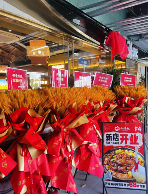 赤峰哪里收購(gòu)大鵝-第1張圖片