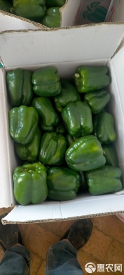 赤峰蔬菜基地聯(lián)系電話號(hào)碼-第1張圖片