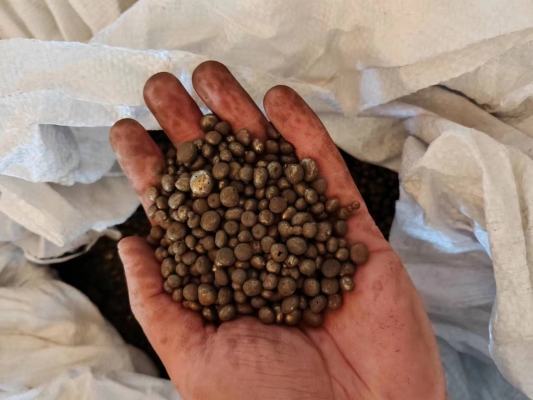 赤峰配重鋼丸廠家電話號(hào)碼-第1張圖片