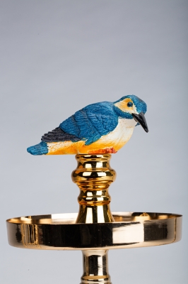 赤峰新城賣鳥籠的店鋪電話號碼-第1張圖片