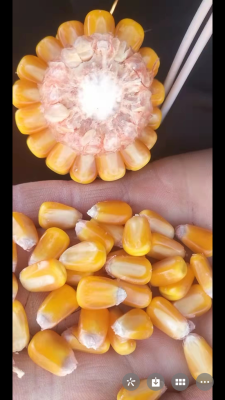 赤峰甜玉米招商電話號(hào)碼查詢-第1張圖片