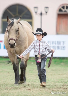 赤峰樂馭馬術館電話地址查詢-第1張圖片