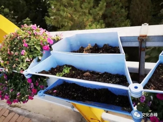 赤峰賣花盆直播平臺電話號碼-第1張圖片