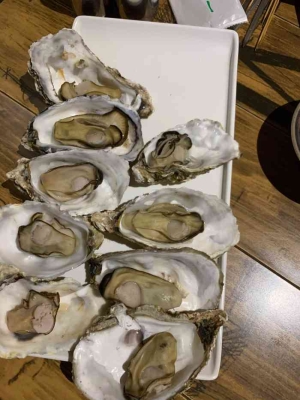 赤峰首家超大生蠔館電話號(hào)碼-第1張圖片