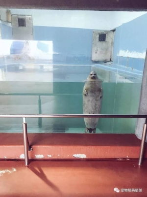 赤峰寵物水族館電話(huà)號(hào)碼-第1張圖片