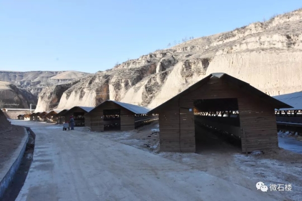 赤峰水貂養(yǎng)殖廠家電話號碼-第1張圖片