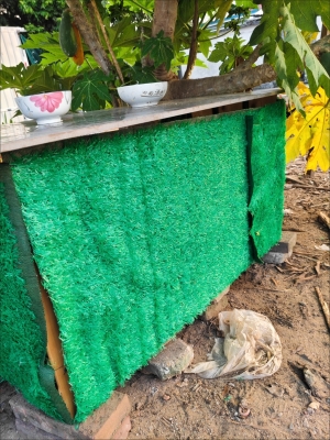 赤峰草坪批發(fā)市場(chǎng)電話號(hào)碼-第1張圖片