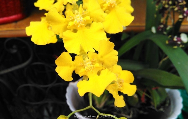 赤峰天虹花奔市場電話號碼-第1張圖片