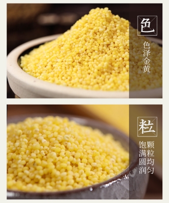 赤峰批發(fā)雜糧電話號(hào)碼查詢地址-第1張圖片