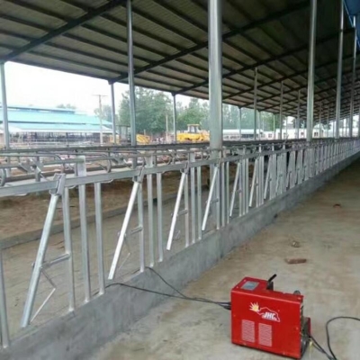 赤峰牛頸夾廠家電話號碼-第1張圖片