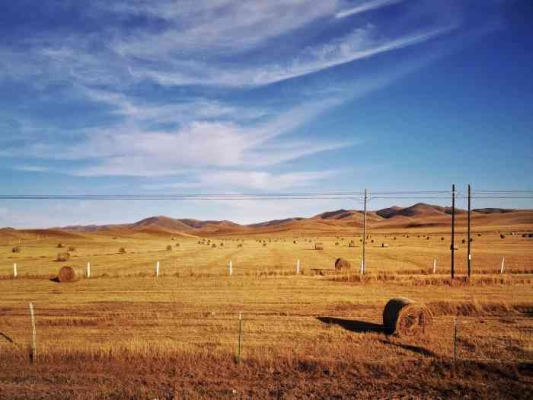 赤峰鮮草工廠電話多少號(hào)-第1張圖片